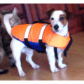 Спасательный жилет для собак в Ростове-на-Дону