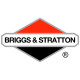 Двигатели Briggs-Stratton в Ростове-на-Дону