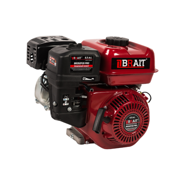 Двигатель 6,5 л.c. d=20мм. Brait BR202P20PRO в Ростове-на-Дону